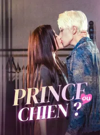 Prince ou Chien ?