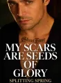 My Scars Are Seeds of Glory cover