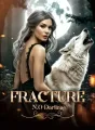 Fracture cover