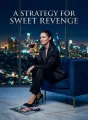 A Strategy For Sweet Revenge cover