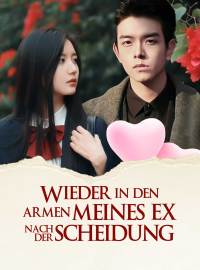 Wieder in den Armen meines Ex nach der Scheidung