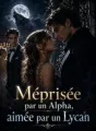 Méprisée par un Alpha, aimée par un Lycan cover