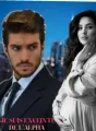 Je suis enceinte de L'alpha  cover
