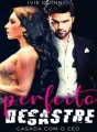 Perfeito Desastre  cover
