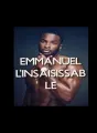 Emmanuel l'insaisissable cover