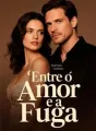 Entre o Amor e a Fuga cover