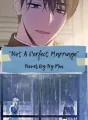 Not A Perfect Marriage cover