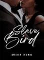 Slave Bird cover