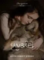 Ambre cover