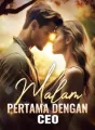 Malam Pertama dengan CEO cover
