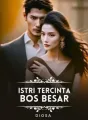 ISTRI TERCINTA BOS BESAR cover