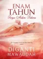 Enam Tahun Tanpa Malam Pertama cover