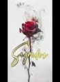 Segredos. cover