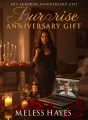 His Surprise Anniversary Gift cover