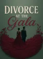 Divorce at the Gala cover