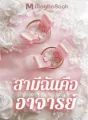 สามีฉันคืออาจารย์ cover