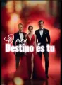 O meu destino és tu cover