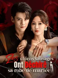 Les chiens sauvages ont déchiré sa robe de mariée