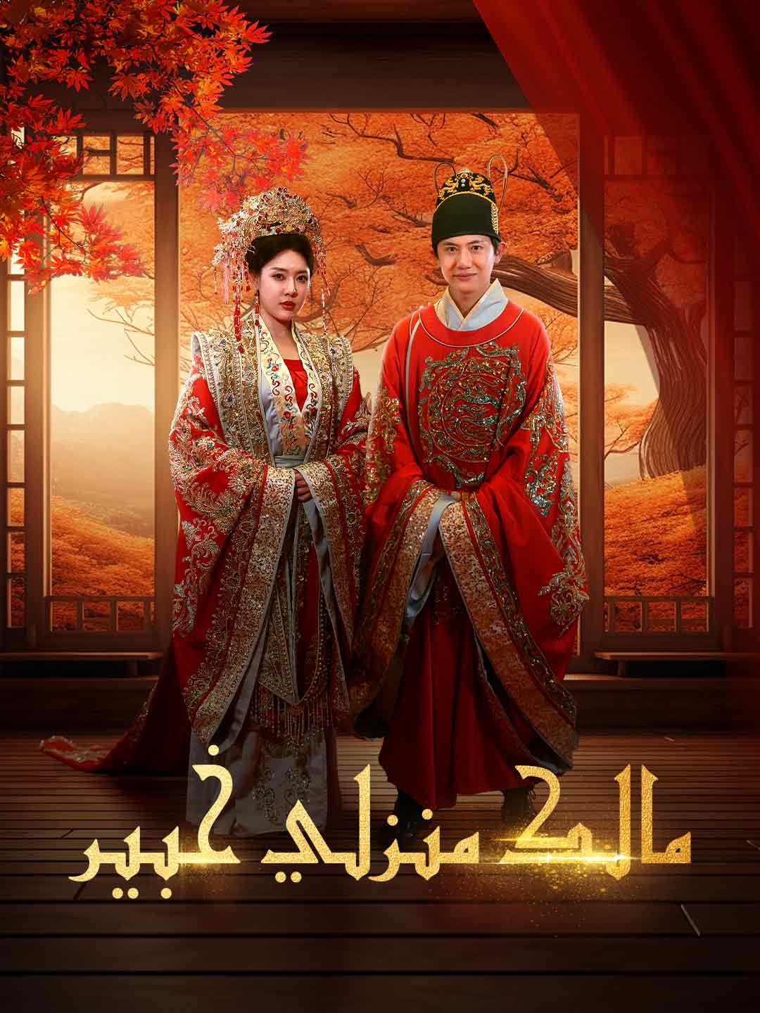 مالك منزلي خبير