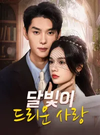 달빛이 드리운 사랑