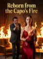 Reborn from the Capo's Fire cover