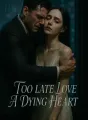 Too Late To Love A Dying Heart cover