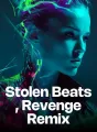 Stolen Beats, Revenge Remix cover