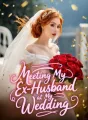 Meeting My Ex-Husband at My Wedding cover
