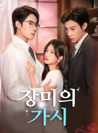 장미의 가시 