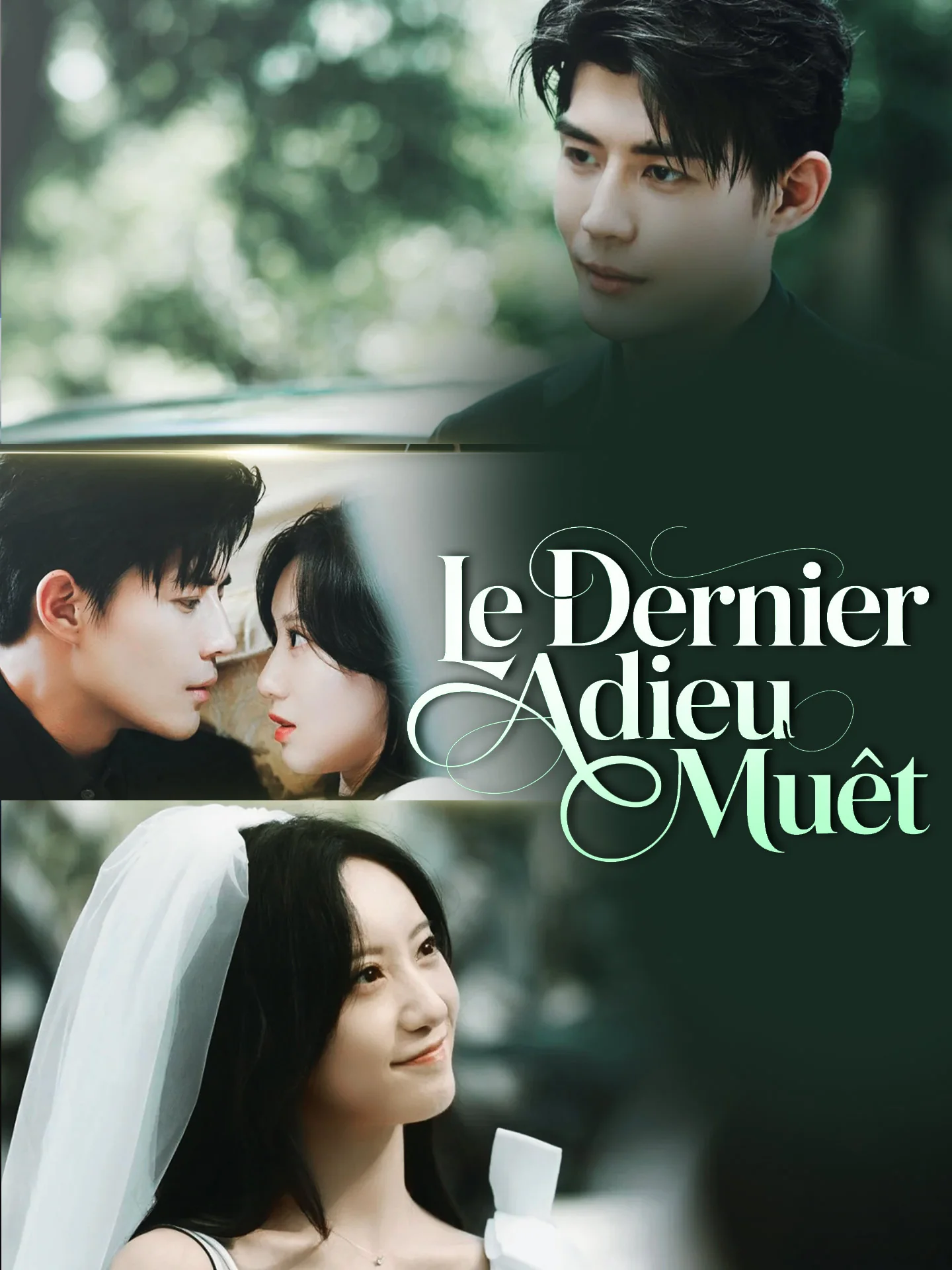 Le Dernier Adieu Muet