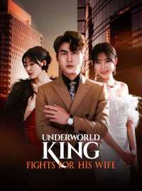 Underworld King Fights For His Wife (English-dubbed)