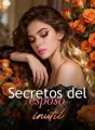 Secretos del esposo inútil cover