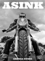 Asink (#3 Mc Demons Kings) cover