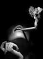 Placer intenso placer ll cover