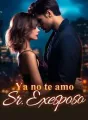 Ya no te amo, Sr. Exesposo cover