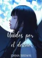 Unidos por el Destino cover
