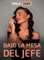 Bajo la mesa del jefe cover