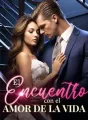 El encuentro con el amor de la vida cover