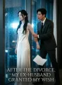 After the Divorce, My Ex-Husband Granted My Wish cover