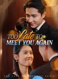 Too Late to Meet You Again