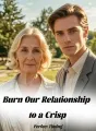 Burn Our Relationship to a Crisp cover
