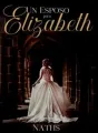 Un esposo para Elizabeth cover