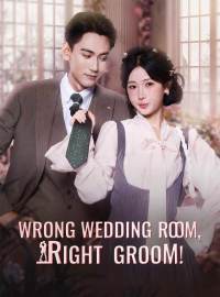 Wrong Wedding Room, Right Groom!(English-dubbed)