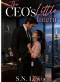 The CEO's Little Intern cover