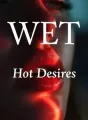 Wet Hot Desire ( A Collection of Steamy stories) cover