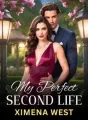 My Perfect Second Life cover