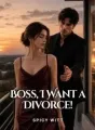 Boss, I Want a Divorce! cover