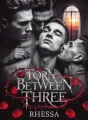 Torn Between Three  cover