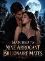 Matched To Nine Arrogant Billionaire Mates cover