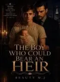 THE BOY WHO COULD BEAR AN HEIR cover